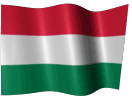 Magyar nyelv